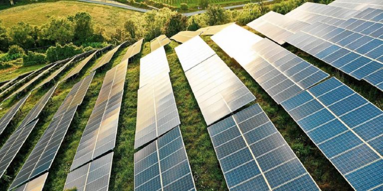 Profarma garante energia solar para lojas da d1000