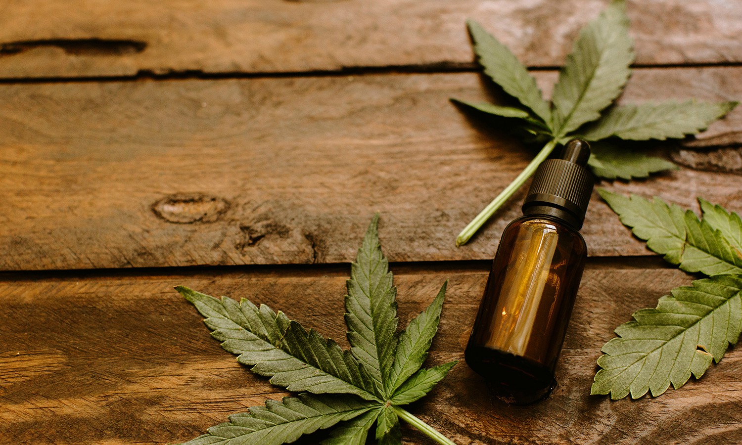 Remederi anuncia que Cannabis medicinal pode ajudar episódios de epilepsia