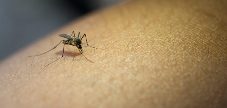 DPSP começa a oferecer testes para detecção da dengue