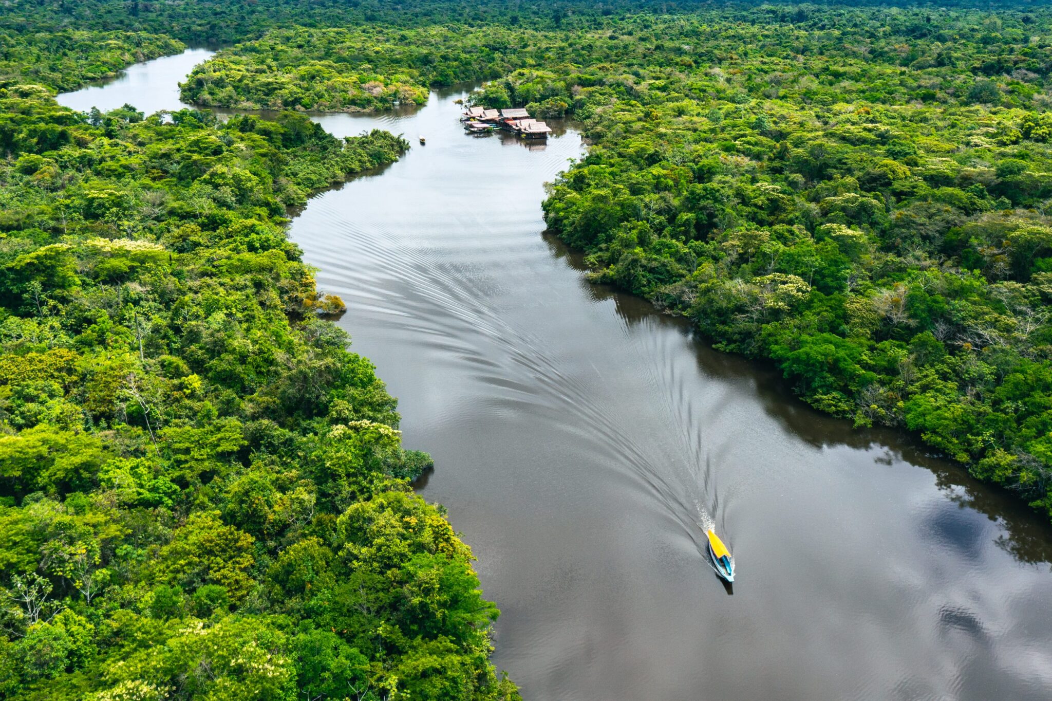 Takeda e UNICEF se unem para prevenir arboviroses na Amazônia e no Semiárido brasileiro