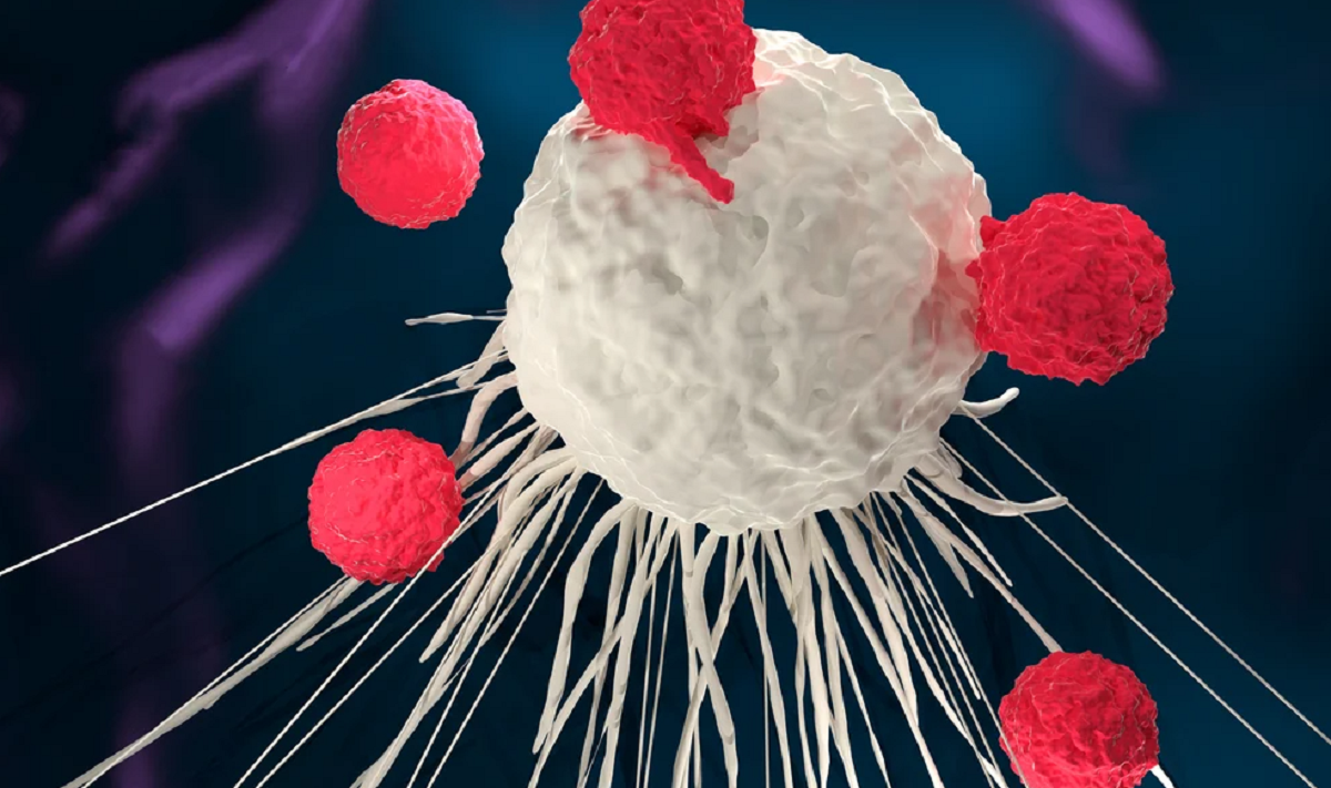 Terapia com células CAR-T aprovada pela Anvisa é enviada para revisão de preço pela CMED