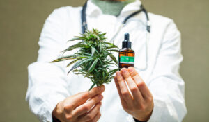 Comercialização de produtos à base de cannabis medicinal registra crescimento de 304%