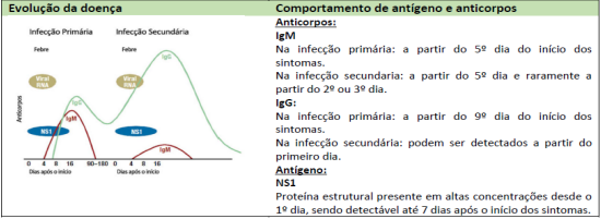 Foto: Informações sobre o comportamento de antígeno e anticorpos