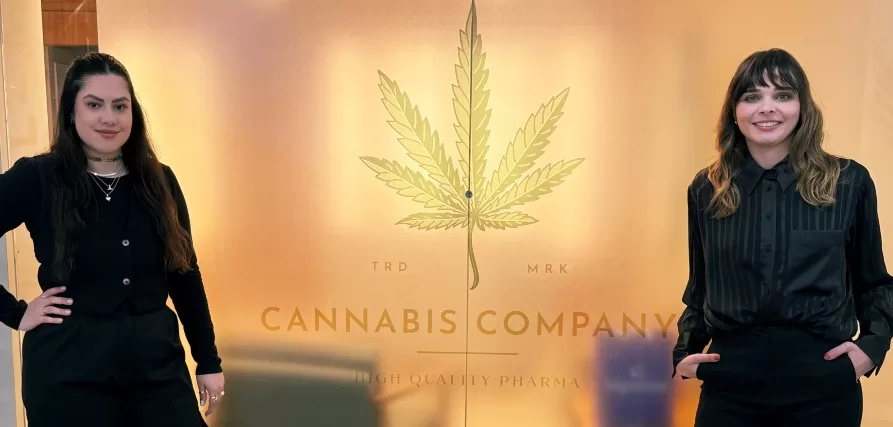 Paraná ganha primeira farmácia especializada em cannabis medicinal