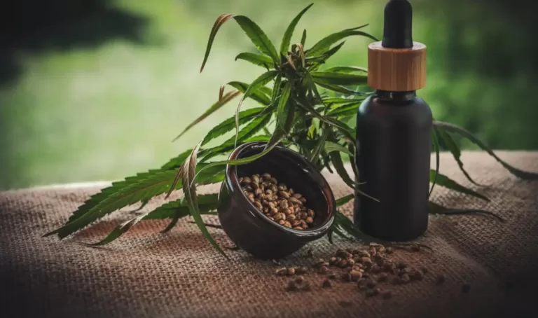 2026: O ano da consolidação da cannabis medicinal no Brasil