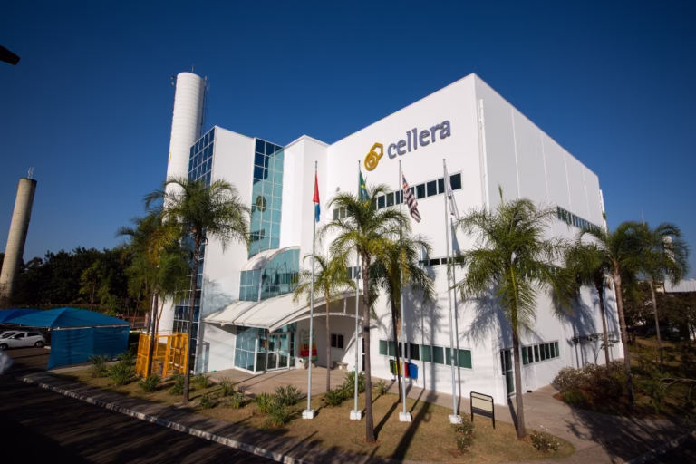 Cellera Farma amplia acesso digital às informações de medicamentos